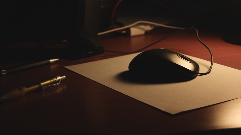 computer mouse